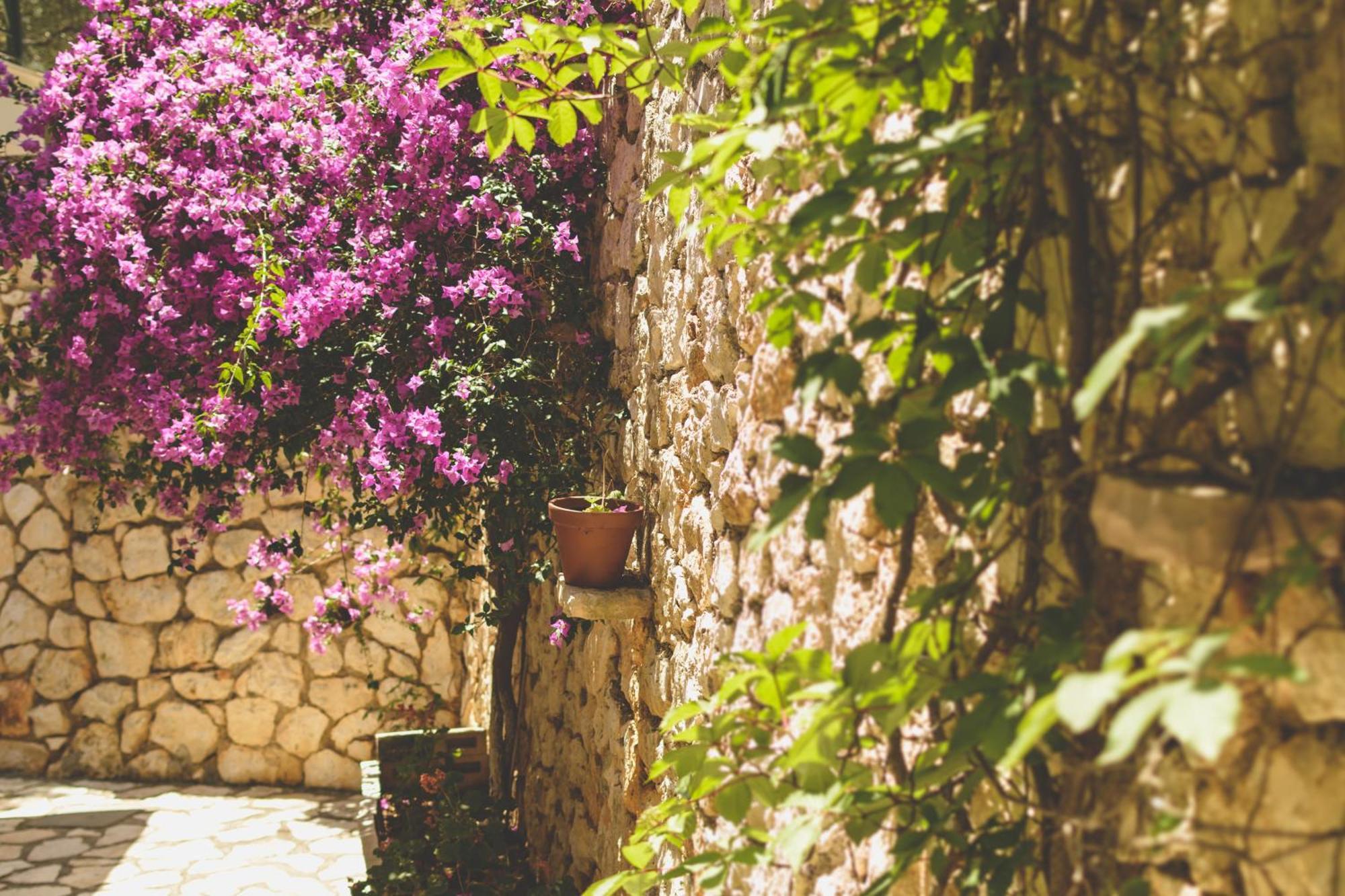 Althea Studios Lefkada Áyios Nikítas Pokój zdjęcie