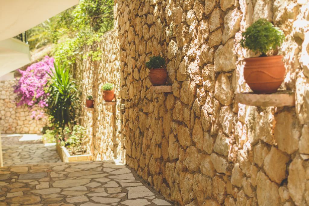 Althea Studios Lefkada Áyios Nikítas Pokój zdjęcie