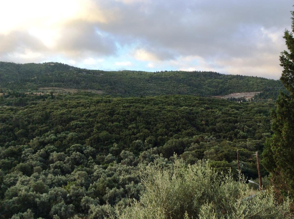 Althea Studios Lefkada Áyios Nikítas Zewnętrze zdjęcie